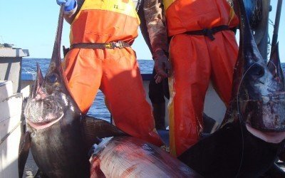 images_Pecheurs_de_Marlin_aux_USA