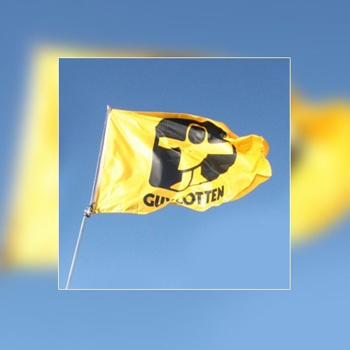 societe_drapeau_societe_guy_cotten2