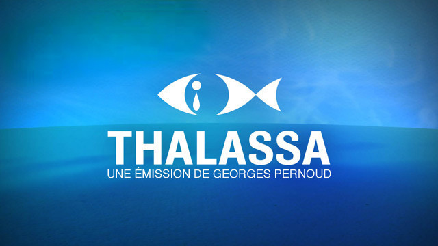 thalassa_Thalassa_2007_logo