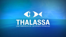 thalassa_Thalassa_2007_logo